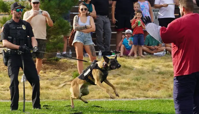 Tuco-Attack-Anderson Tuco Class Training