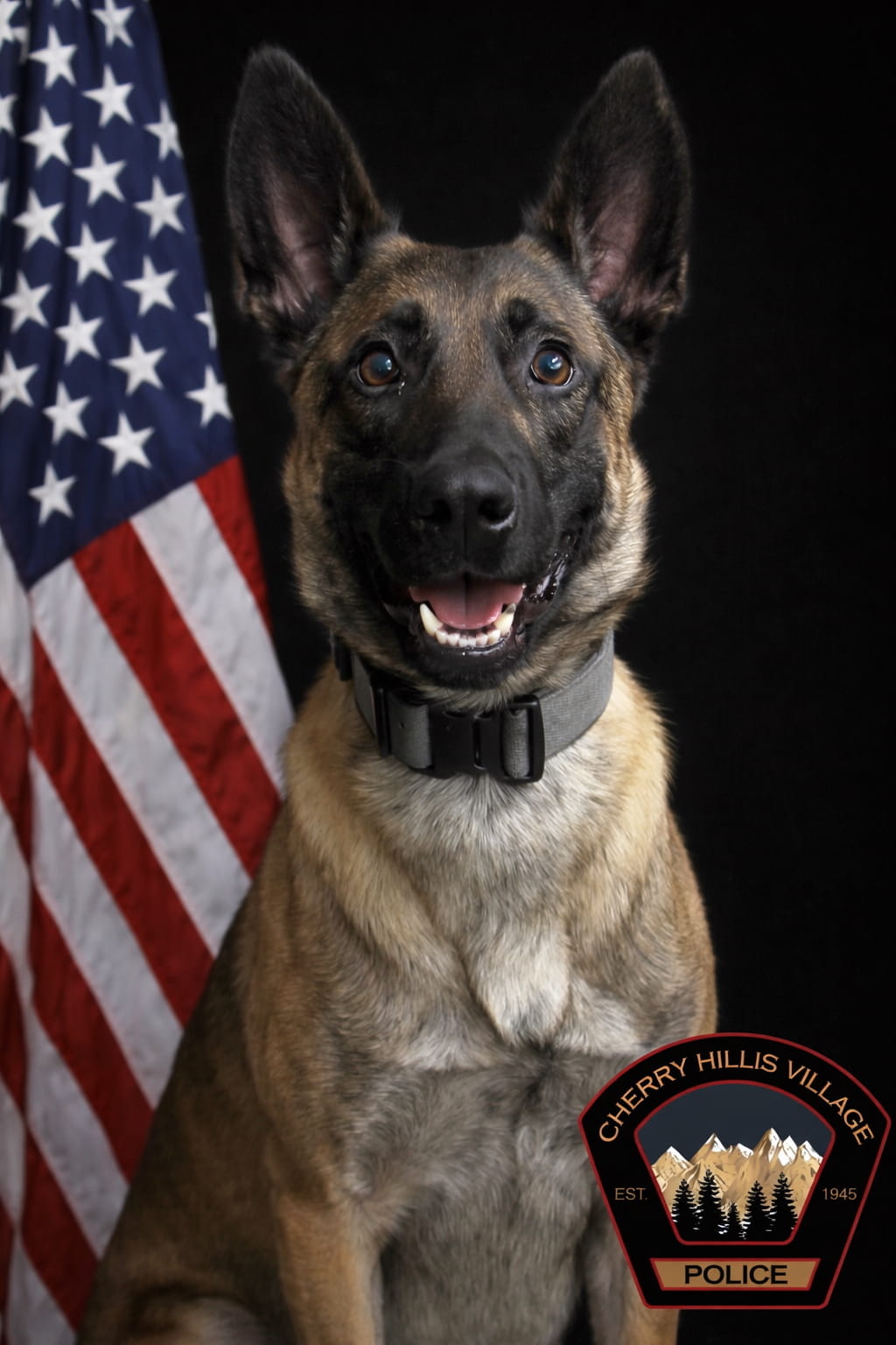 K9 Shadow (9)